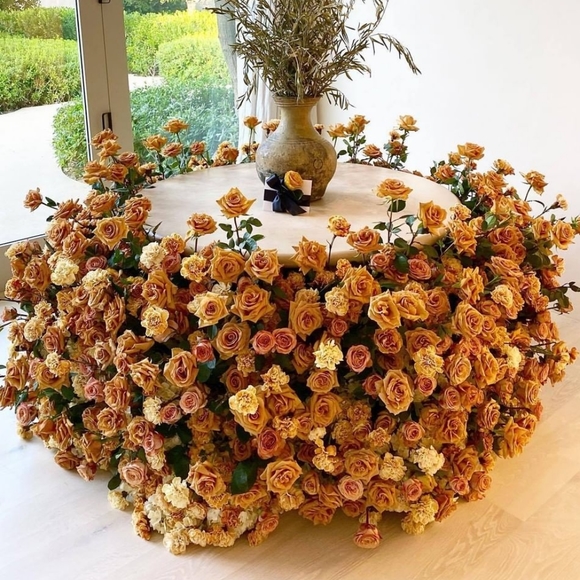 Meet your Posher, Kim - Picture 3 of 3